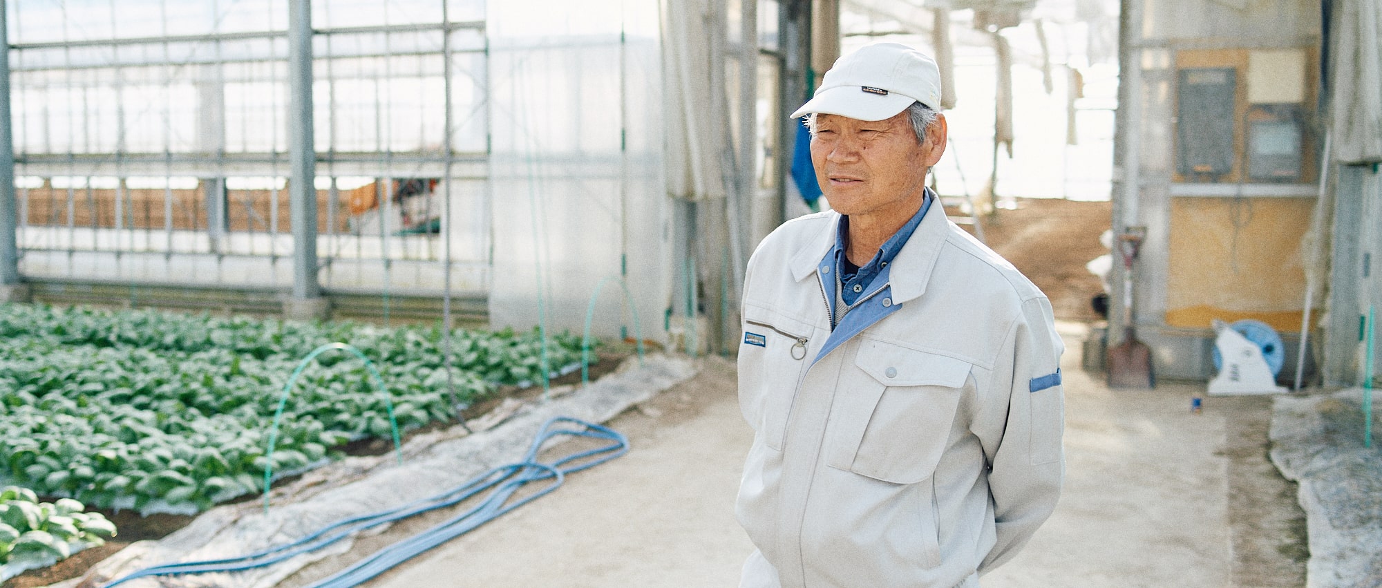 長谷川正義の写真